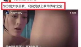 黄毅清直播爆料马苏视频,真相与争议