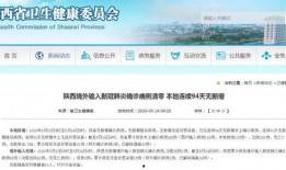 陕西爆料最新消息新闻,聚焦重大新闻事件追踪